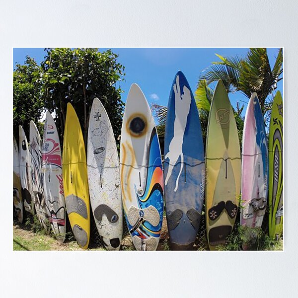 Hang Ten Posters for Sale