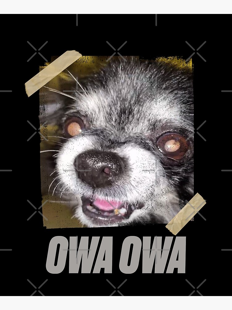 "Can i get an Owa Owa Tiktok meme Dog StreetWear Style" Photographic