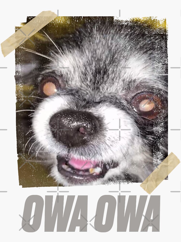Pegatina «¿Puedo obtener un meme Owa Owa Tiktok Dog StreetWear Style