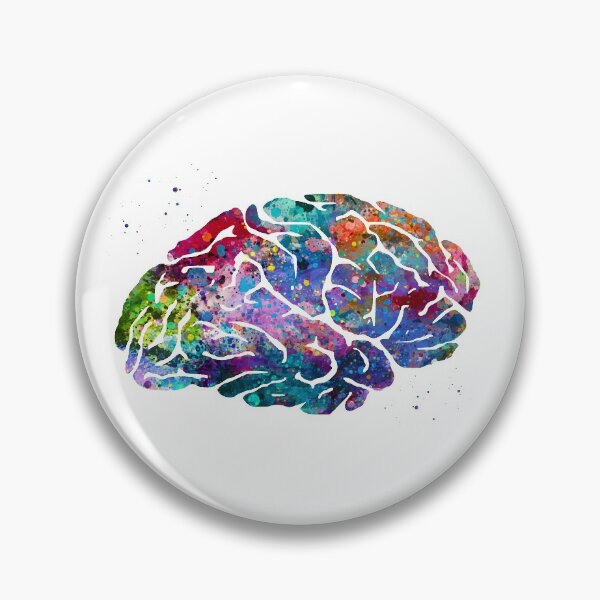 Item preview, Human Brain Anatomy designed and sold by EvasDreams.