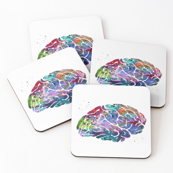 Item preview, Human Brain Anatomy designed and sold by EvasDreams.