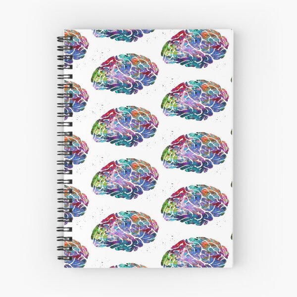 Item preview, Human Brain Anatomy designed and sold by EvasDreams.