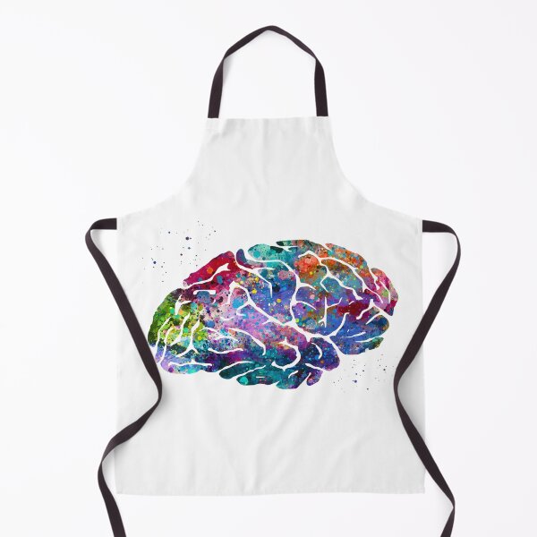 Item preview, Human Brain Anatomy designed and sold by EvasDreams.