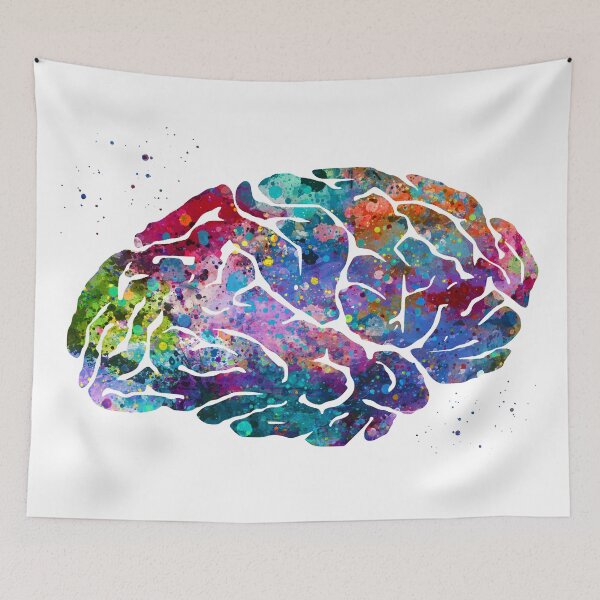 Item preview, Human Brain Anatomy designed and sold by EvasDreams.