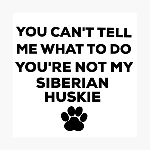 You can't tell me what to do Siberian huskie design Photographic Print