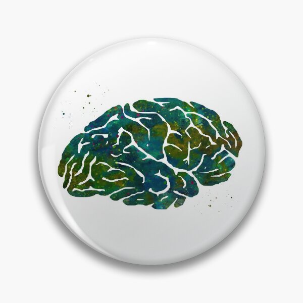 Item preview, Human Brain Anatomy designed and sold by EvasDreams.
