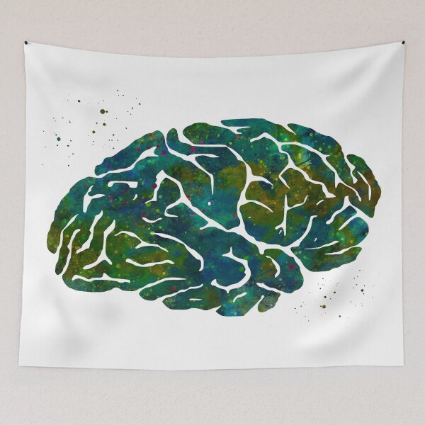 Item preview, Human Brain Anatomy designed and sold by EvasDreams.