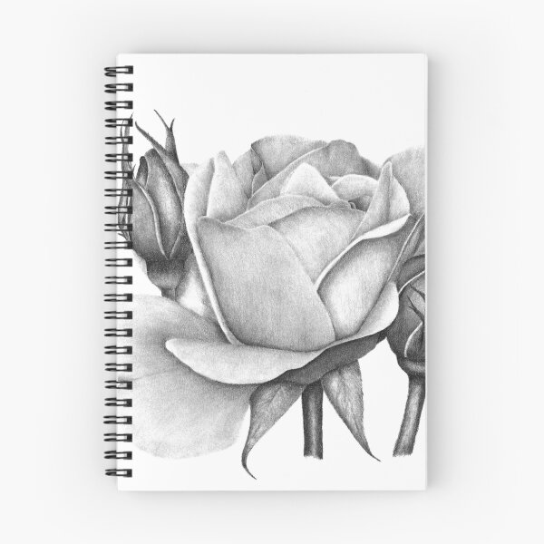 Item preview, Drum Rose designed and sold by PatriciaHiltz.