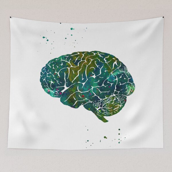 Item preview, Human Brain Side View Anatomy designed and sold by EvasDreams.