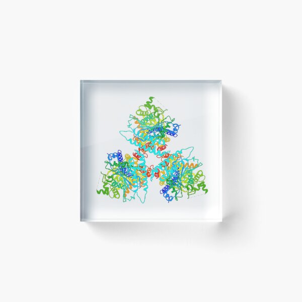 Item preview, Cellulose Synthase designed and sold by 3D Biology.