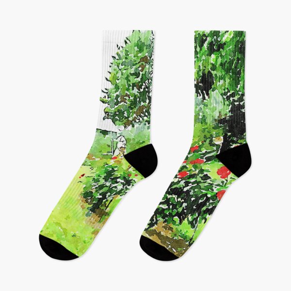 Item preview, Istituto Emiliani: red roses plants in the garden designed and sold by Giuseppe Cocco.