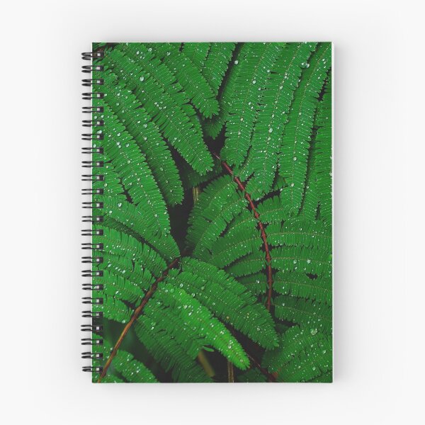 Item preview, fern designed and sold by BloomCo.