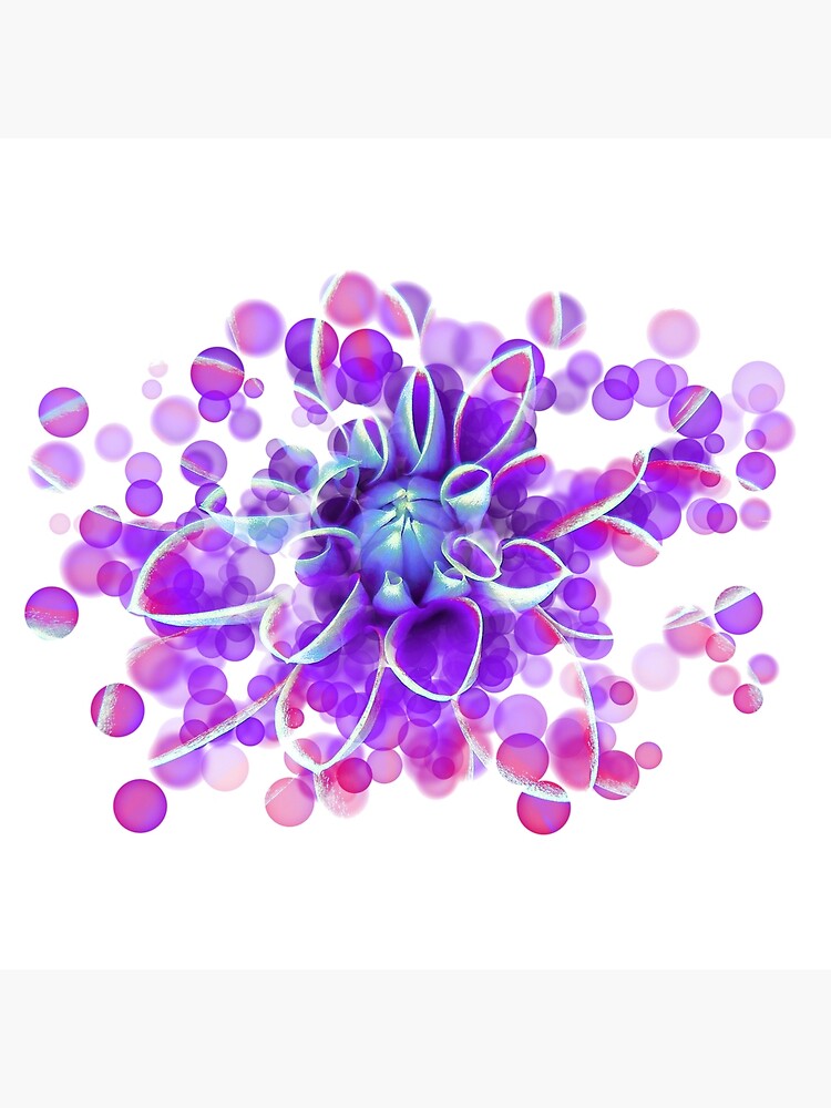 "Flower Burst" Poster by IvonaVargek Redbubble