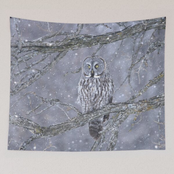 Item preview, Beautiful gray on a snowy day  designed and sold by locustgirl.