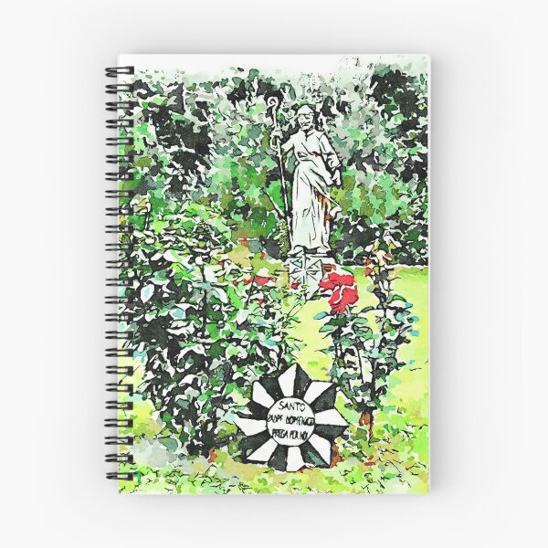 Item preview, Istituto Emiliani: red roses plants and saint monument in the garden designed and sold by Giuseppe Cocco.