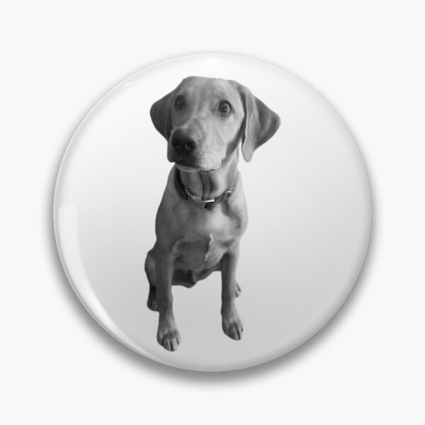 Item preview, Black and white - Dexter the Fox Red Labrador  designed and sold by DexterFRL.