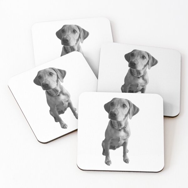Item preview, Black and white - Dexter the Fox Red Labrador  designed and sold by DexterFRL.