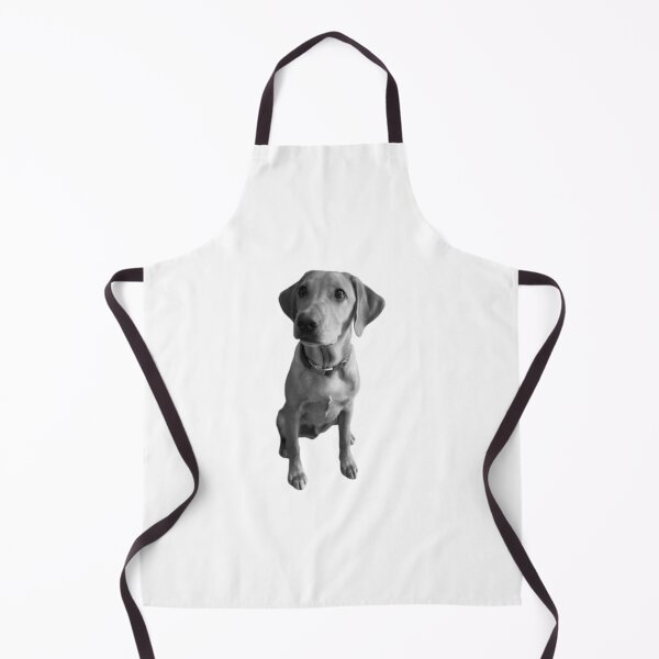 Item preview, Black and white - Dexter the Fox Red Labrador designed and sold by DexterFRL.