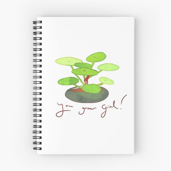 Item preview, Pilea peperomiodes designed and sold by thehairypeach.