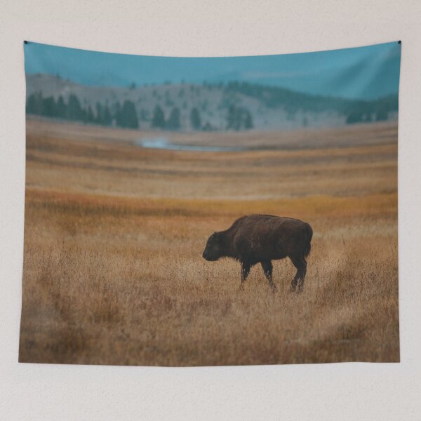 Item preview, Baby Bison designed and sold by Bri Santoro.