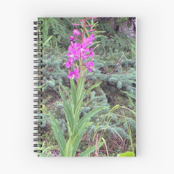 Aperçu de l'œuvre Fireweed Blaze créée et vendue par copperhead.