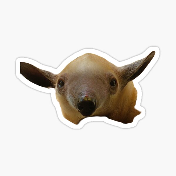 Flavvore Tamandua Pose | Sticker