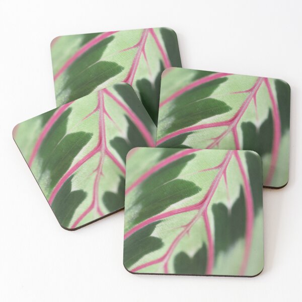 Item preview, Prayer Plant Leaf designed and sold by Kelly J. Kreger.