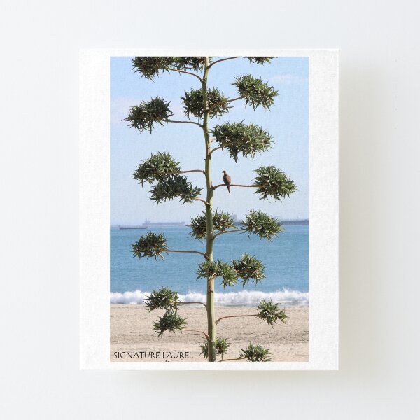A Dove on a Tree Canvas Mounted Print