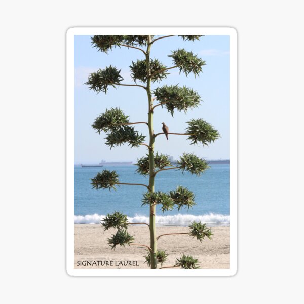 A Dove on a Tree Sticker