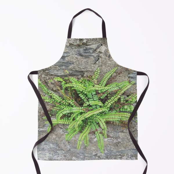 Item preview, Fern designed and sold by OllieandQuinn.