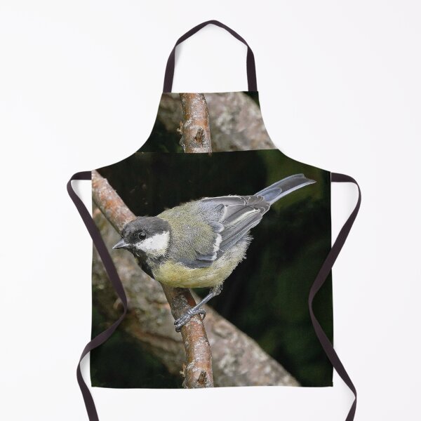 Item preview, r1448/ New Finition 2021 Mésange Charbonniére Birds b 6 (c)(t) by Olao-Olavia / Okaio Créations designed and sold by o.okaïo.