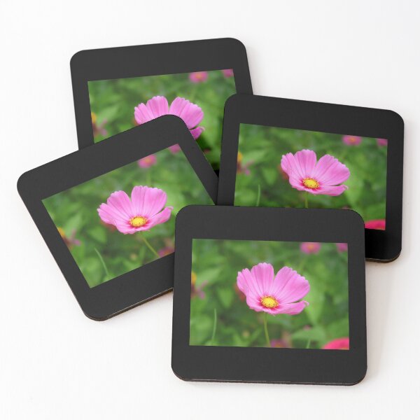 Item preview, Pink Cosmo Photograph, Nature flower photo designed and sold by VondasCreations.