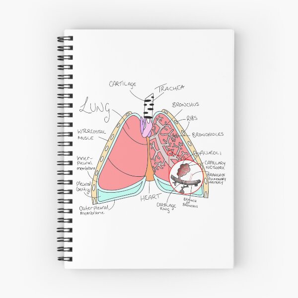 Item preview, Lung diagram designed and sold by -mint-.