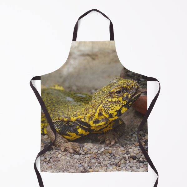 Item preview, Uromastyx geyri designed and sold by Mythos57.