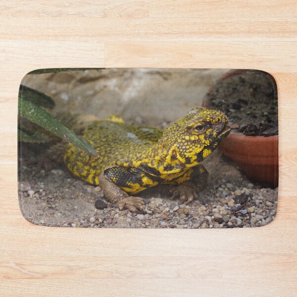 Item preview, Uromastyx geyri designed and sold by Mythos57.