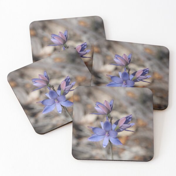 Item preview, Thelymitra crinita Flower Stalk designed and sold by Michaela Perryman.