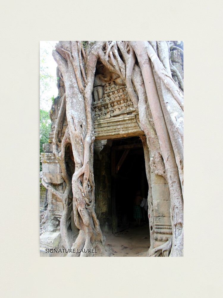 Thumbnail 1 of 3, Photographic Print, Banyan Doorway in Angkor designed and sold by signaturelaurel.
