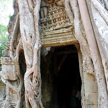 Artwork thumbnail, Banyan Doorway in Angkor by signaturelaurel