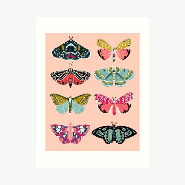 Lepidoptery No. 1 by Andrea Lauren Art Print