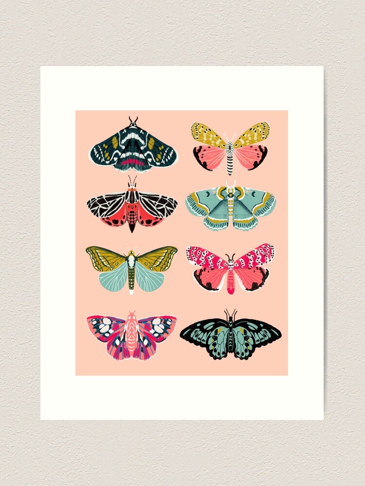 Alternate view of Lepidoptery No. 1 by Andrea Lauren Art Print