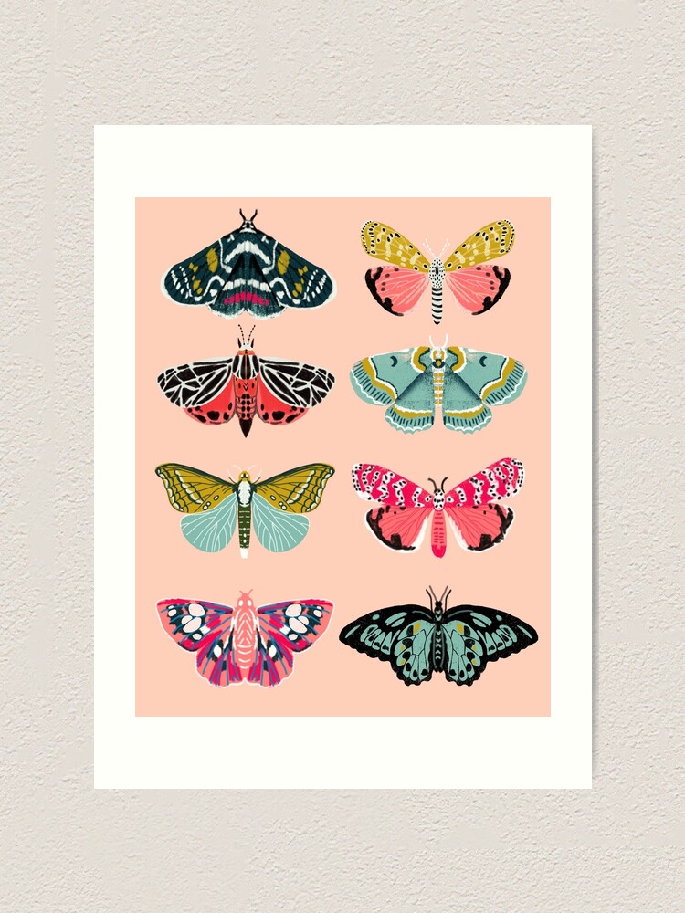 Alternate view of Lepidoptery No. 1 by Andrea Lauren Art Print