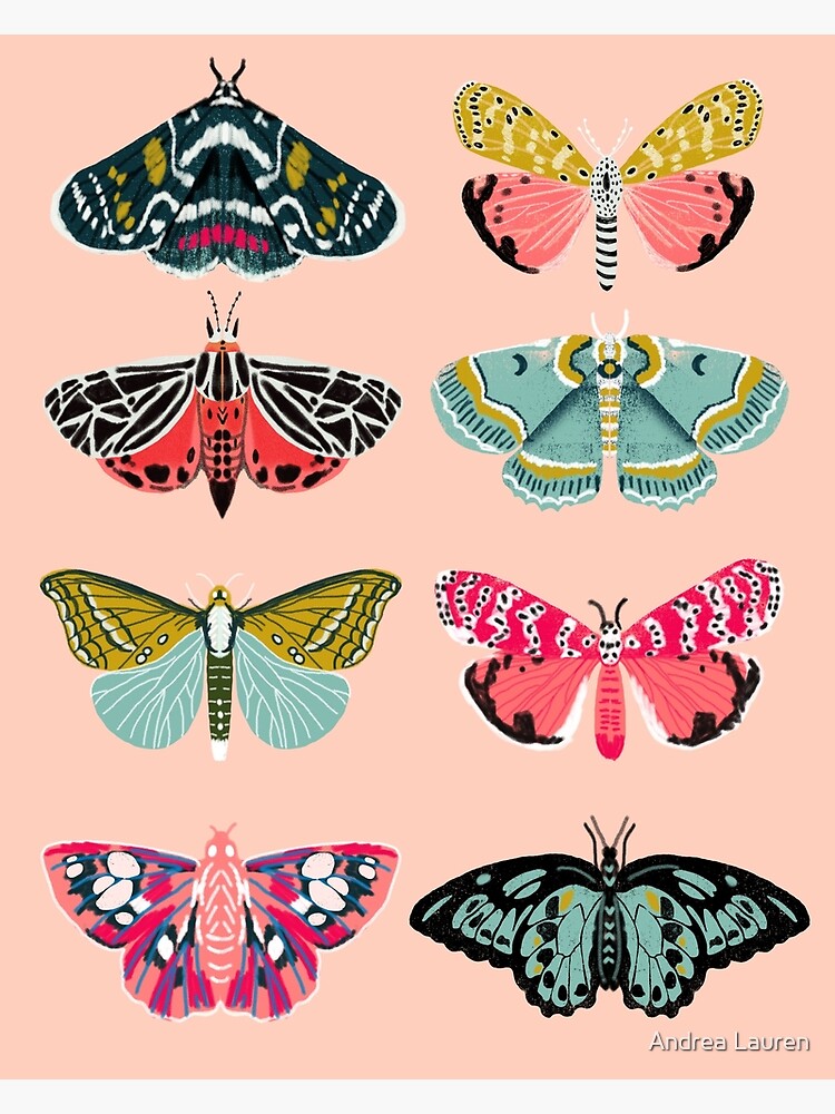 Lepidoptery No. 1 by Andrea Lauren by papersparrow