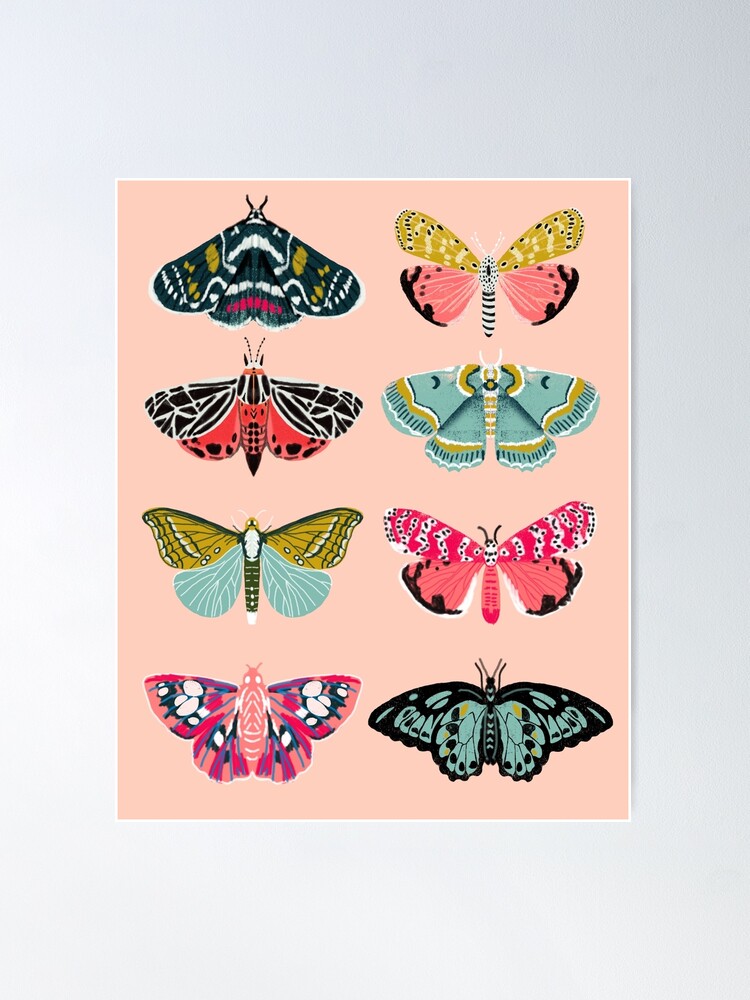 Alternate view of Lepidoptery No. 1 by Andrea Lauren  Poster