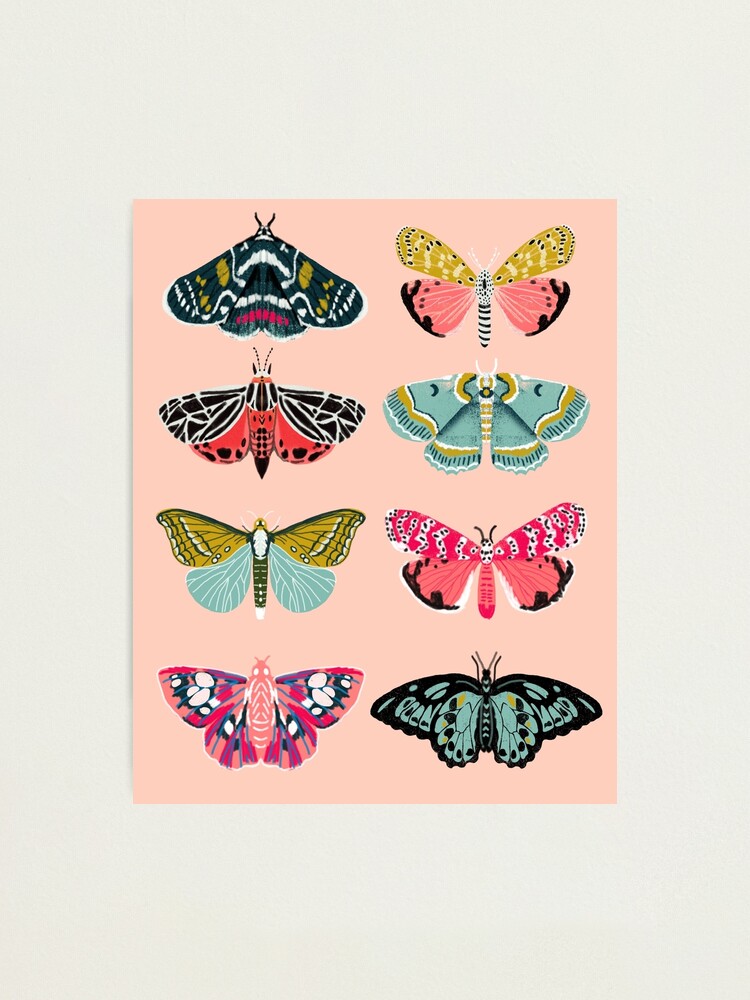 Alternate view of Lepidoptery No. 1 by Andrea Lauren Photographic Print
