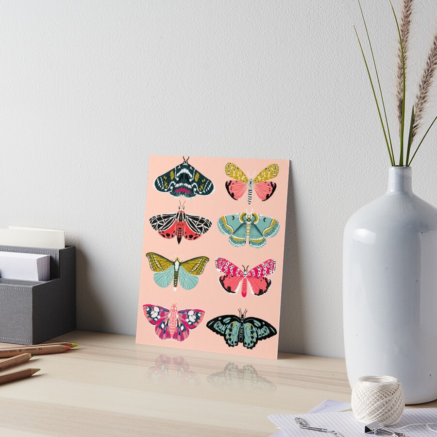 Lepidoptery No. 1 by Andrea Lauren Art Board Print