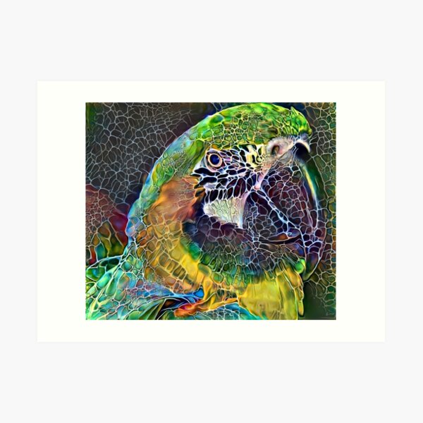 Quadrangle of the Birds Art Print