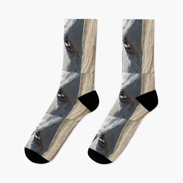 Item preview, Horse Eye designed and sold by Savannah Gibbs.