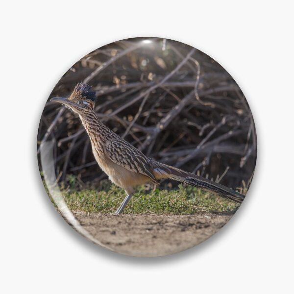 Item preview, Roadrunner  designed and sold by CarolM.