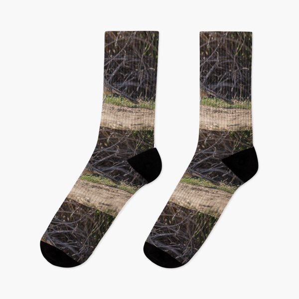 Item preview, Roadrunner  designed and sold by CarolM.