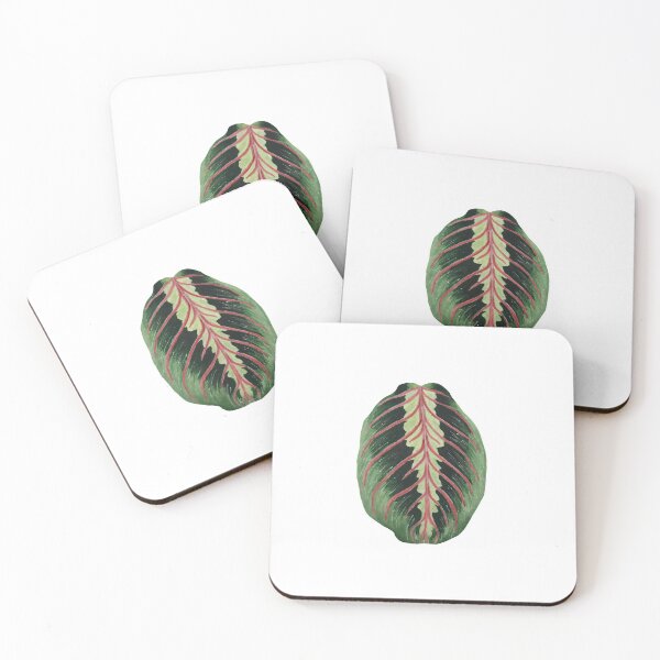 Item preview, Red Maranta aka Prayer Plant designed and sold by plantwithhan.